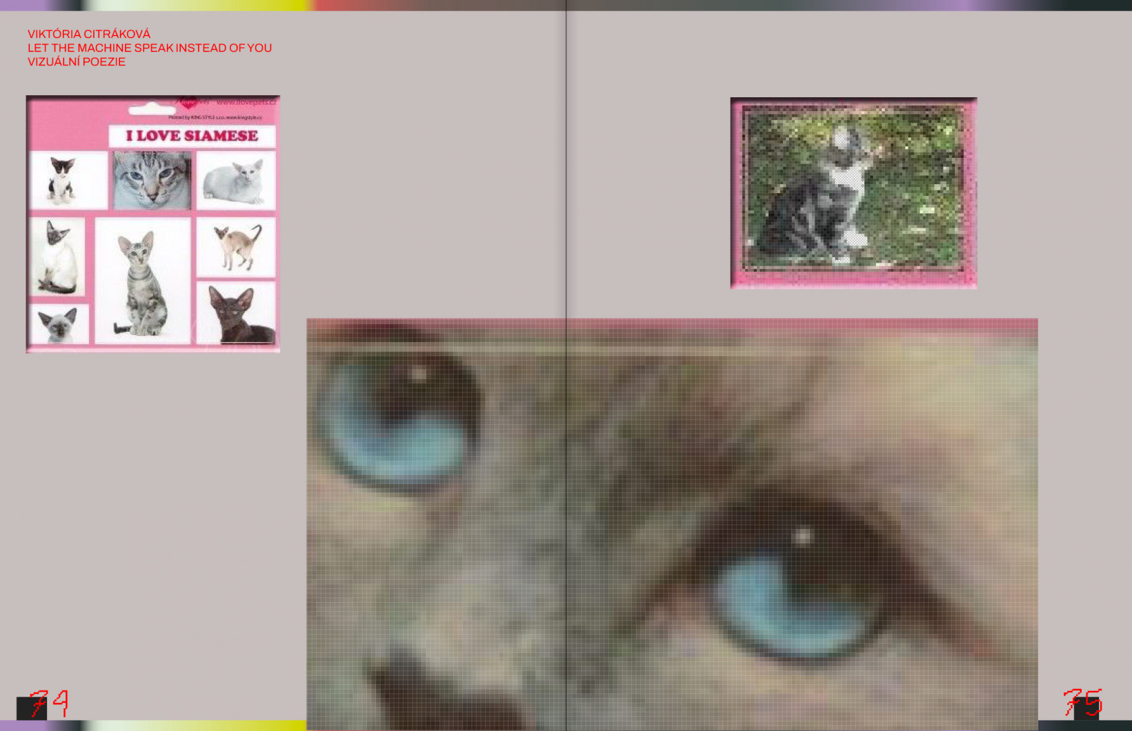 Viktória Citráková - Let the machine speak instead of you